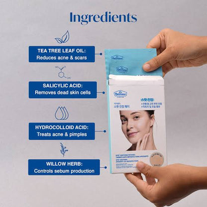 The Face Shop Dr.Belmeur Clarifying Spot Soothing Patches